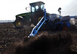 Tractor sowing sunflower
