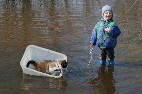 Хлопчик прогулюється з котом