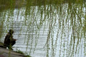 Рибак ловить рибу