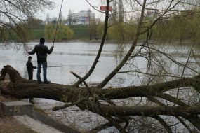 Рибаки ловлять рибу