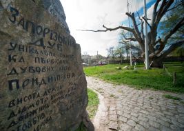 700-летний запорожский дуб