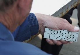 Participant of championship on the game of domino