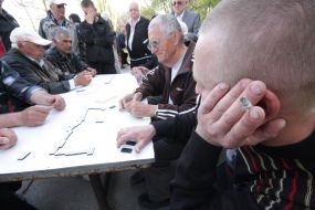 Participants of championship on the game of domino