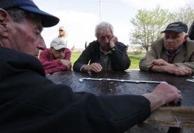 Participants of championship on the game of domino