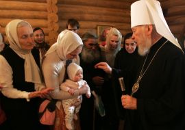 Metropolitan Vladimir