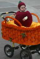 ”A basket of apples”