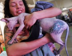 Международный фестиваль «Tattoo-Collection/2010»