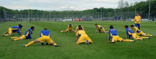 Players of the combined team of Ukraine on football