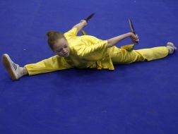 Models appearances on wushu