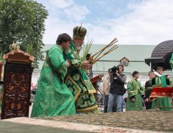 Metropolitan Vladimir