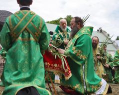 Metropolitan Vladimir