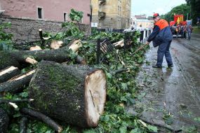 Работник коммунальной службы