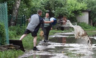 Лужи после ливня