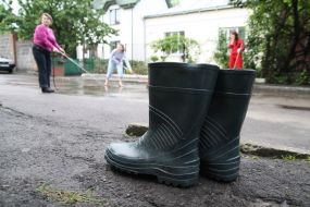 Резиновые сапоги