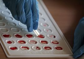 Медработник делает анализ крови