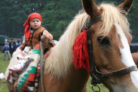 A little girl sits on a horse