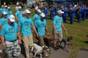 Exhibition of hunting dogs