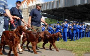 Exhibition of hunting dogs