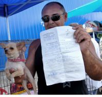 Ветеринарное свидетельство