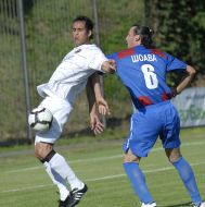 Флорин Шоава