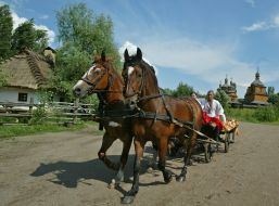 A young man rides at a cart