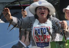 Сторонница ПСПУ