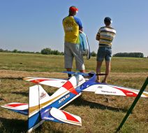 The competition model airplanes ”Masters Cup 2010”