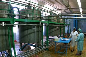 Factory ”Ice-cream”