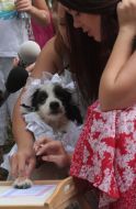 Alina Grosu at the wedding dogs Hatiko and Lely