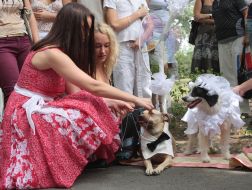 Alina Grosu at the wedding dogs Hatiko and Lely