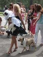 Wedding dogs Hatiko and Lely