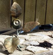 Monument to the bilberry
