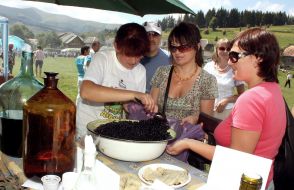 Participants of bilberry festival ”Verkhovinskaya yafina”