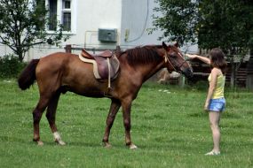 Girl near a horse