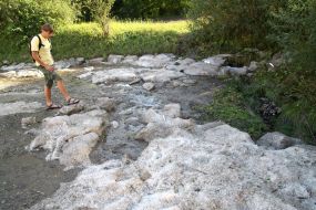 A fellow examines a hail