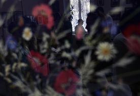 Посетительница