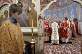 Metropolitan Vladimir