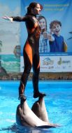 Shaw  in dolphinarium