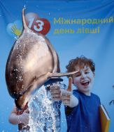 Dolphin