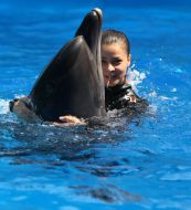 Trainer with a dolphin