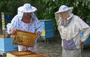 Beekeepers