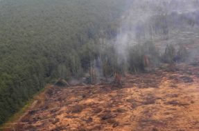 Conflagrant peatbogs