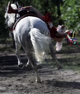 Girl would do the trick