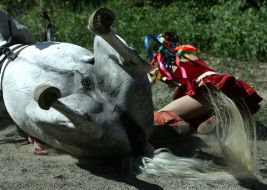 The girl fell from a horse