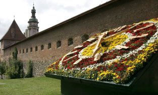 Floral clock