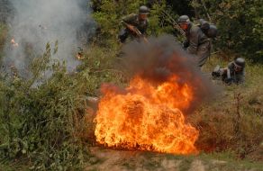 Участники реконструкции
