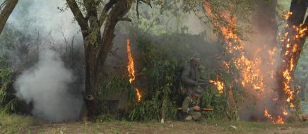 Участники реконструкции