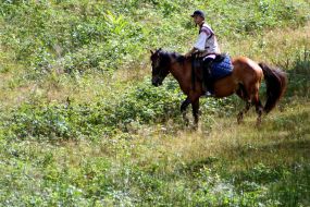 A rider overcomes the obstacle