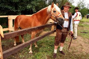 Participant of horse competition