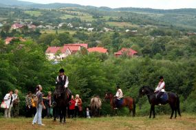 Participants of V competition of horse guzul and other breeds